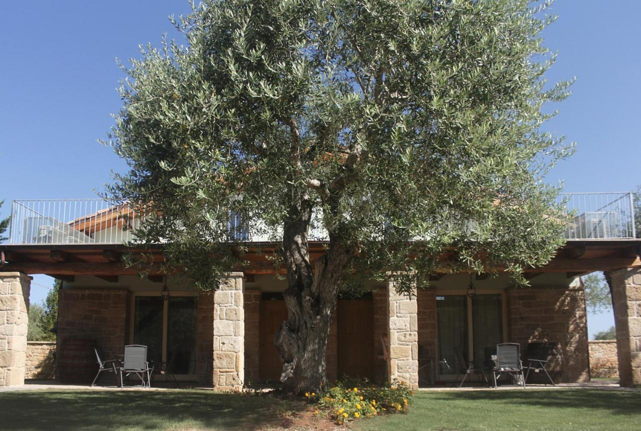 Bed and Breakfast Casal Lluent Alghero Zewnętrze zdjęcie